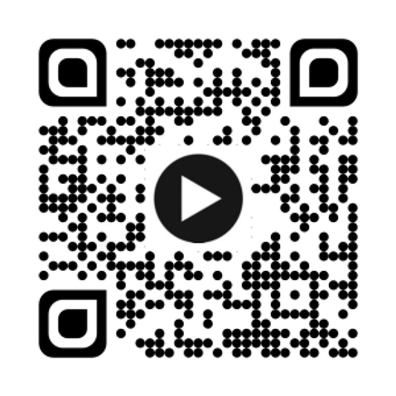 The World of Dinosaurs - FSC MIX