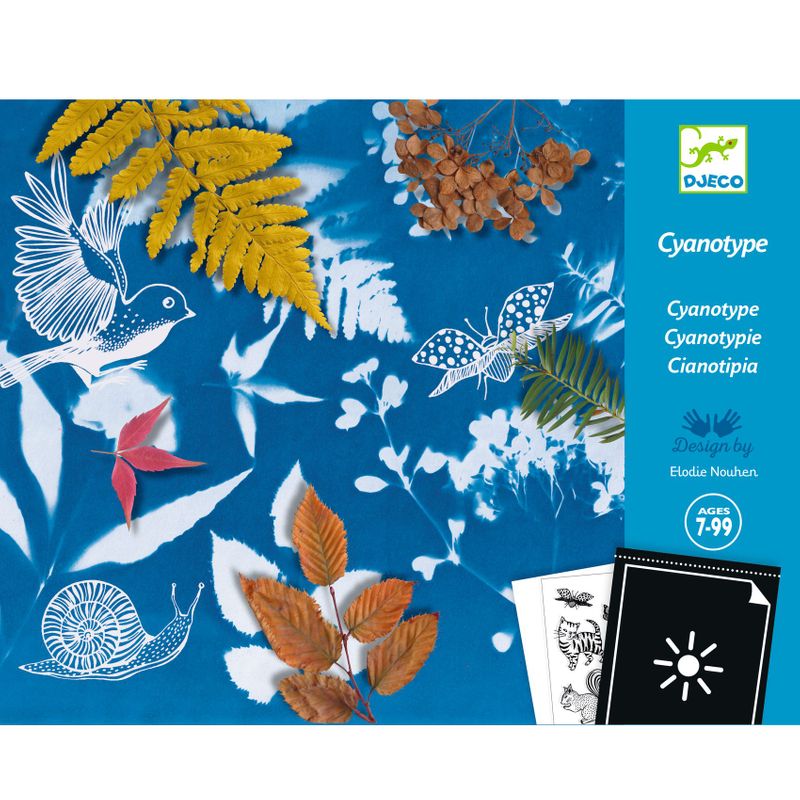Cyanotype Starter Kit