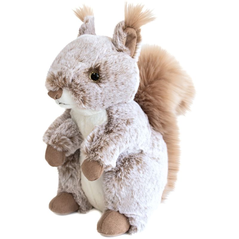 SQUIRREL - Ekorre