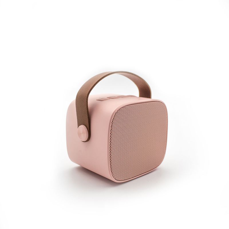 Bluetooth Speaker With Wireless Microphone - Rose