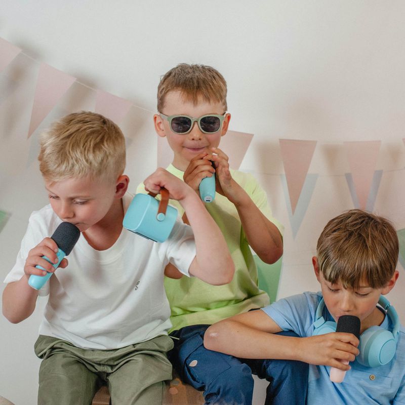 Bluetooth Speaker With Wireless Microphone - Rose