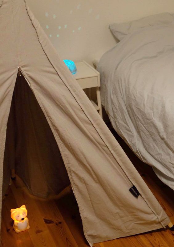 The Night Fighter Fox