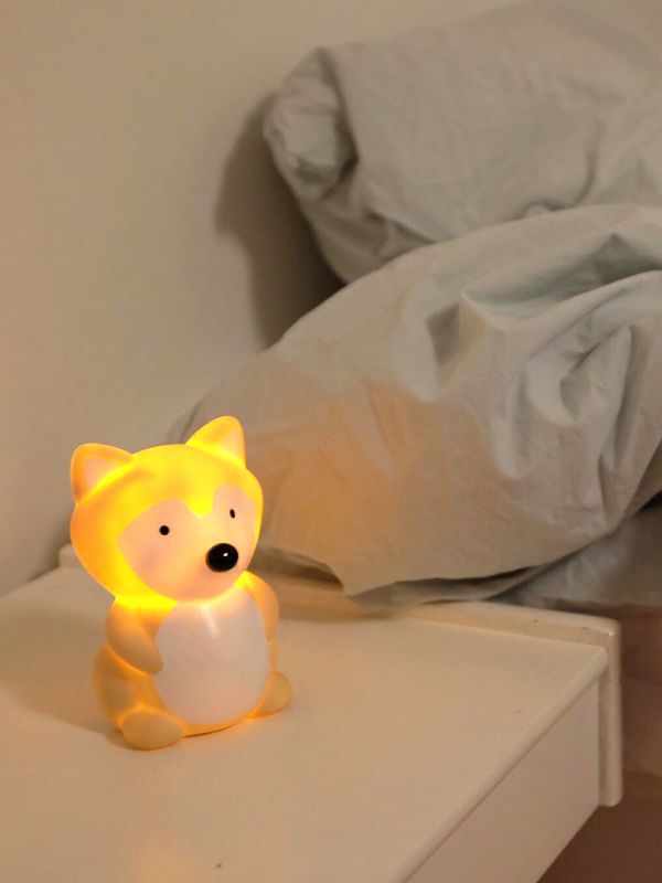 The Night Fighter Fox