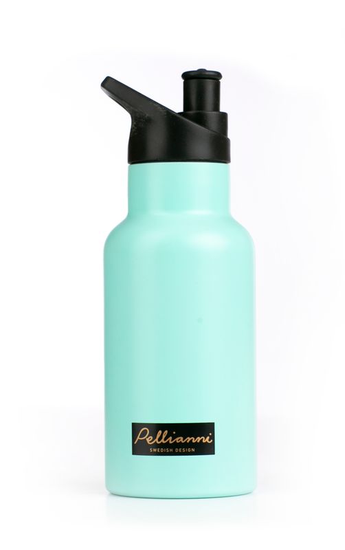 Stainless Steel Bottle Aqua