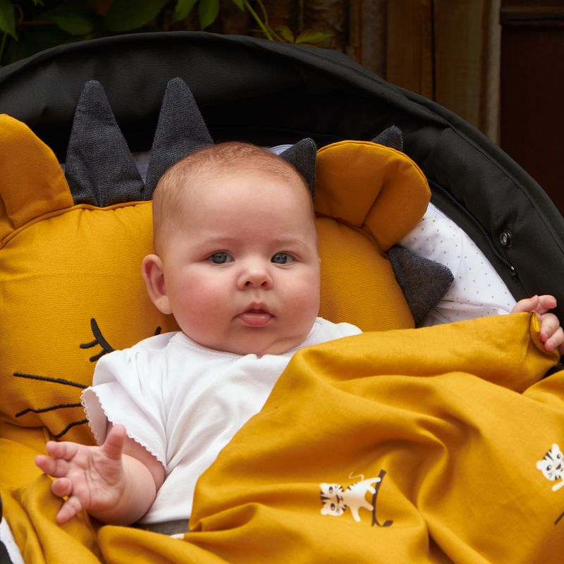 Pram Cushion - Lion