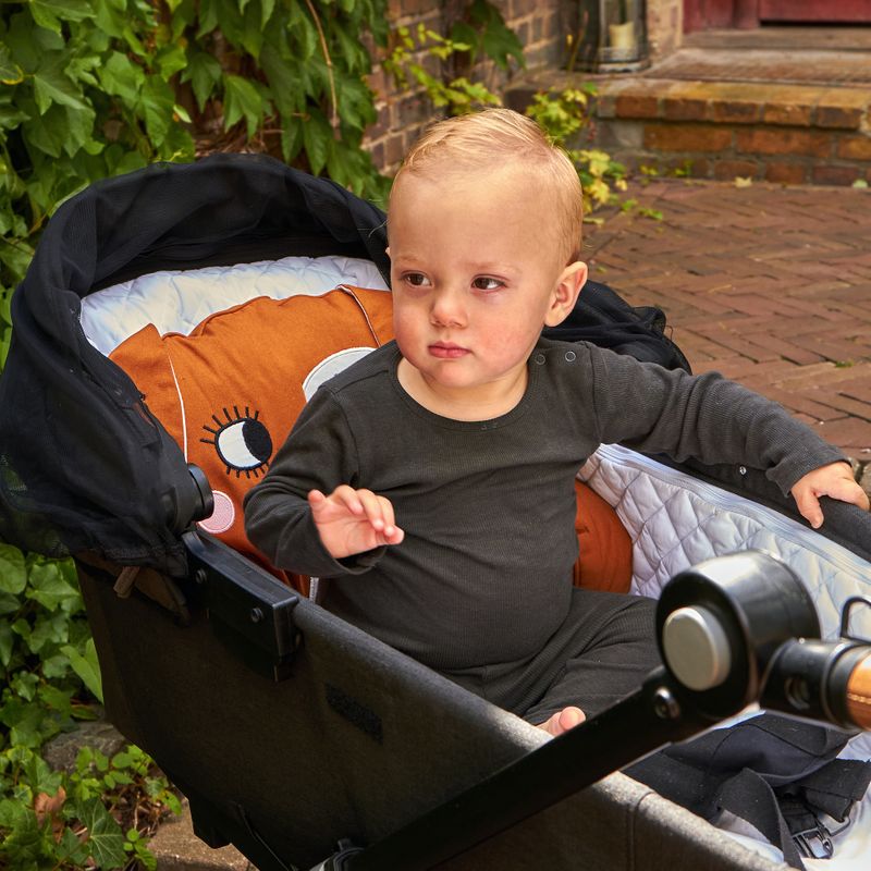 Pram Cushion, Dog
