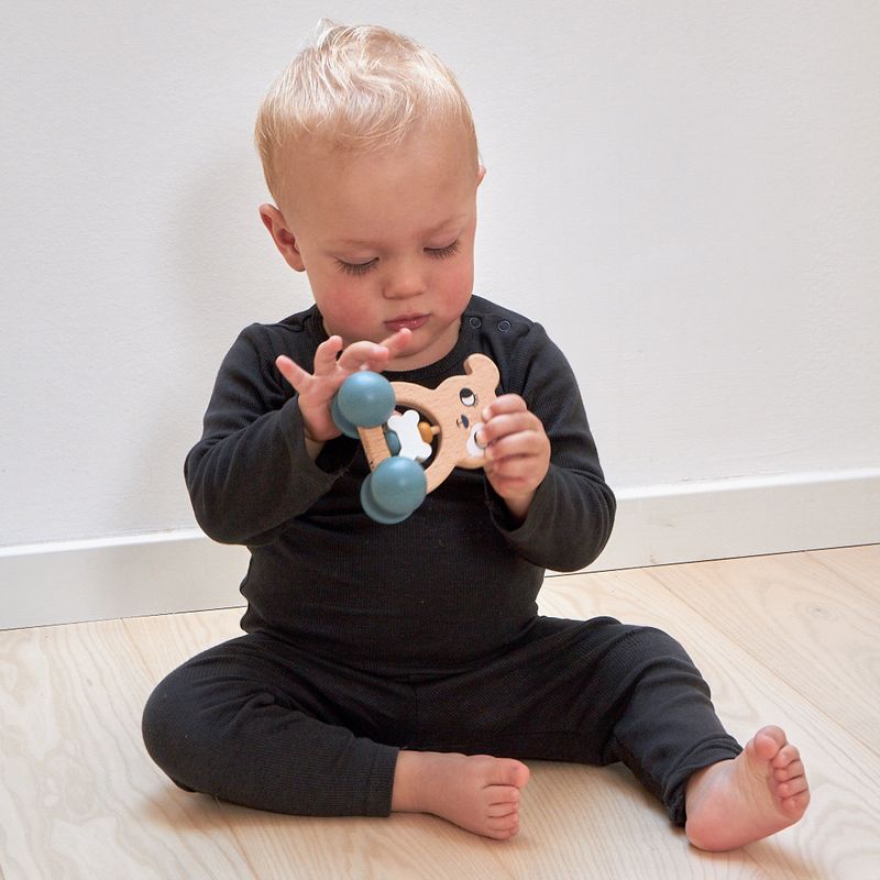 Rattle on Wheel - Dog