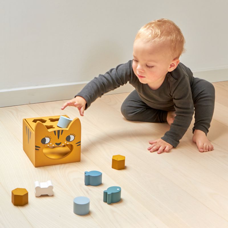 Sorting Box - Tiger
