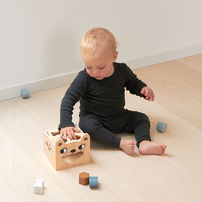 Sorting Box - Bear