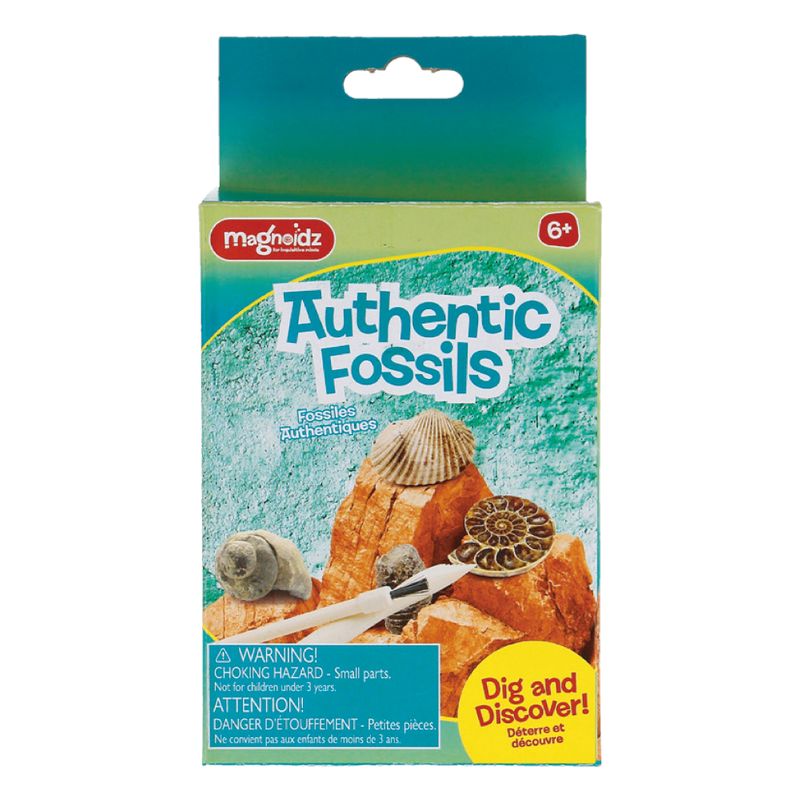 MAGNOIDZ Dig & Discover Authentic Fossil Kit