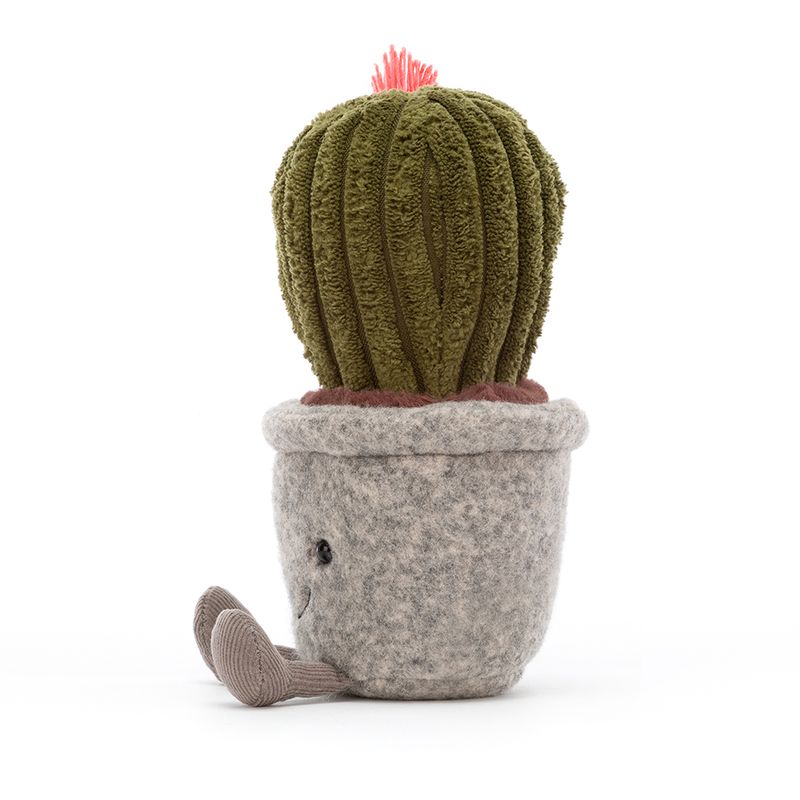 Silly Succulent Cactus