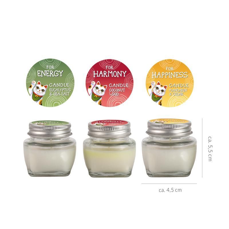 LUCKY CAT Good Vibes Scented Candles In a Jar, 3 assorted