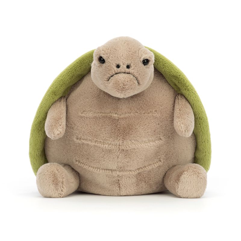 Timmy Turtle