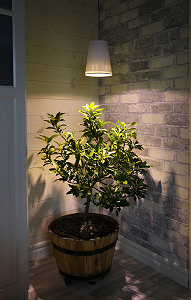LED lampa växtlampa Plant Light 5W E27