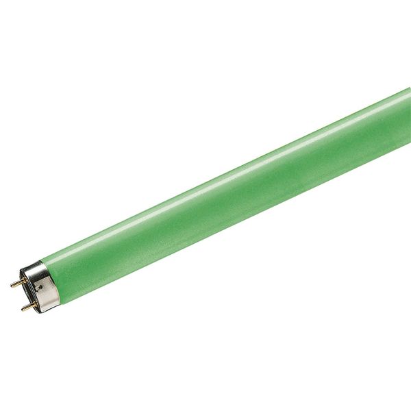 Philips Färgade Lysrör T8 Grön