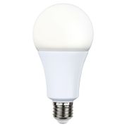 Kallvit Dimbar Normallampa LED 19,0W 2200lm E27 Opal