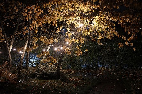 Ljusslinga Flatkabel E27