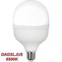 Dagsljus Normallampa LED 30,0W 4000lm  E27 Opal