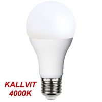 Kallvit Normallampa LED Ra 90 14,0W 1500lm E27 Opal