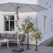 Köp Dekorationsträd Olivec 120cm | Star Trading | Lampgrossen