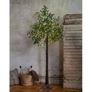 Dekorationsträd Olivec 180cm | Star Trading | Lampgrossen