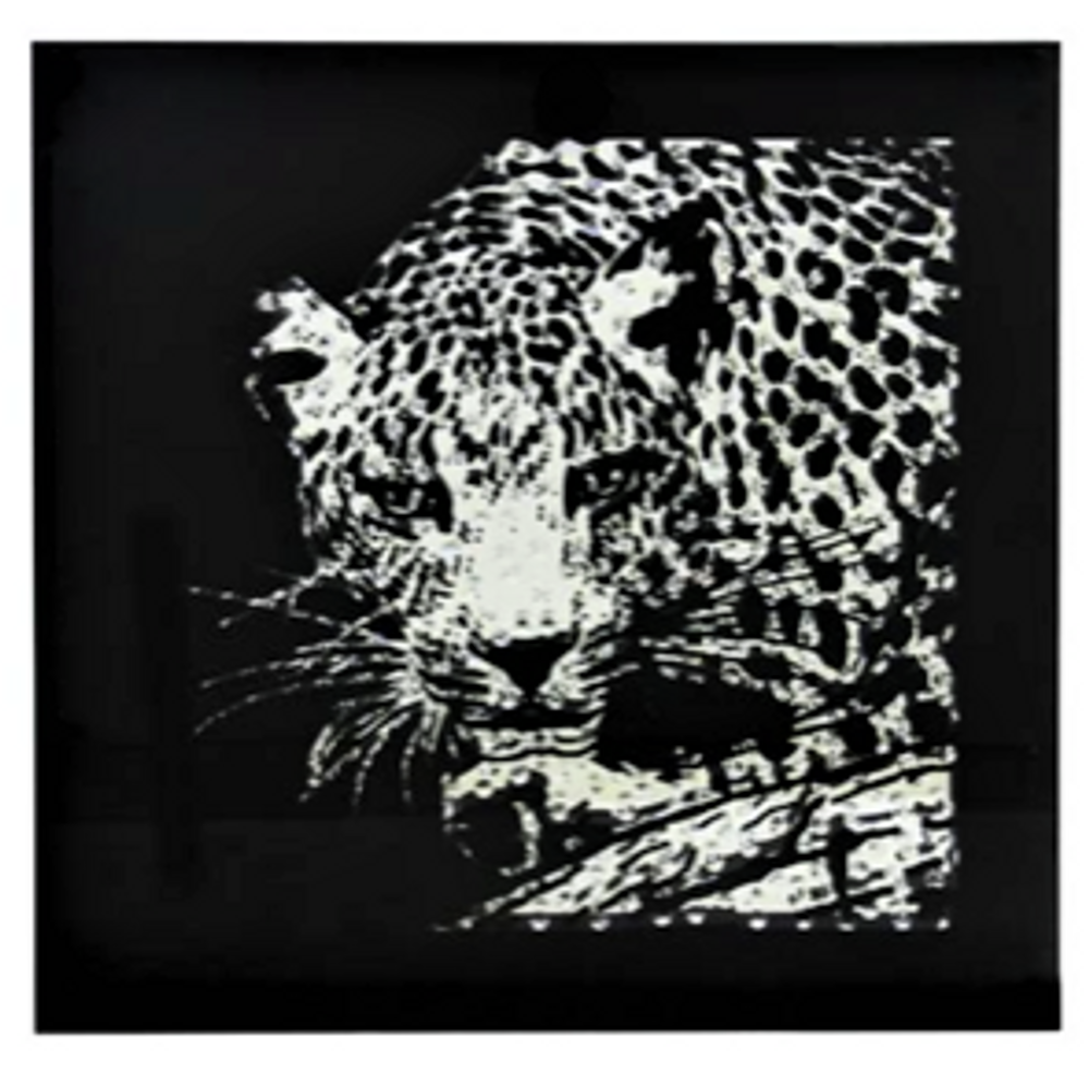 Produktbild f&ouml;r Spegeltavla Puma 