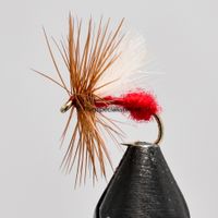 Buy Ant Red size 14 | Fly fishing is our thing | The flyspecialist