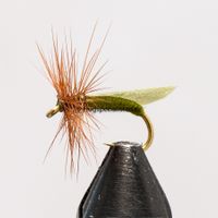 Buy Caddisfly Light Olive size 14 | Fly fishing is our thing | The flyspecialist