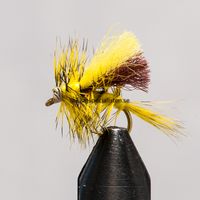 Buy Winnie the Pooh Honey size 14 | Fly fishing is our thing | The flyspecialist
