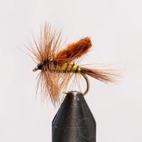 Buy Winnie the Pooh size 12 | Fly fishing is our thing | The flyspecialist