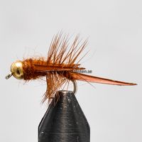 Brown Stone fly 