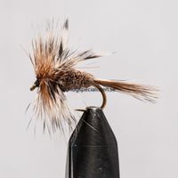 Buy Caddis Winged  | Fly fishing is our thing | The flyspecialist