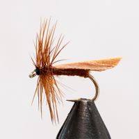 Osta Vesiperhonen Vaaleanruskea koko 12 | Fly Fishing on meidän asia | Perhokalasus asiantuntilja