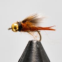 Mayfly, Flat-Headed 