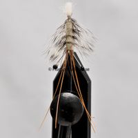 Buy Shrimp Natural White size 6 | Fly fishing is our thing | The flyspecialist