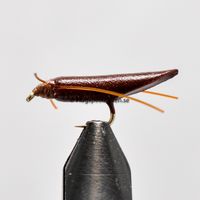Ismo Pupa size 12