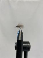 Buy Cdc Caddis size 12 | Fly fishing is our thing | The flyspecialist