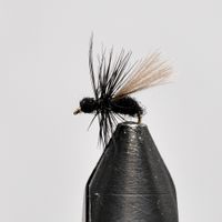 Buy Ant size 20 | Fly fishing is our thing | The flyspecialist