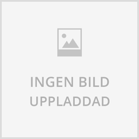 UC3460 Sagan Om Ringen Eomer´s hjälm med displayställ