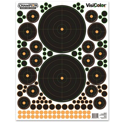 Champion VisiColor Bulls Eye Target Variety 5-pack