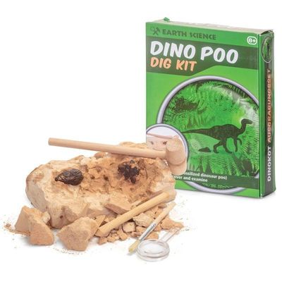 Dinosauriebajs utgrävningskit