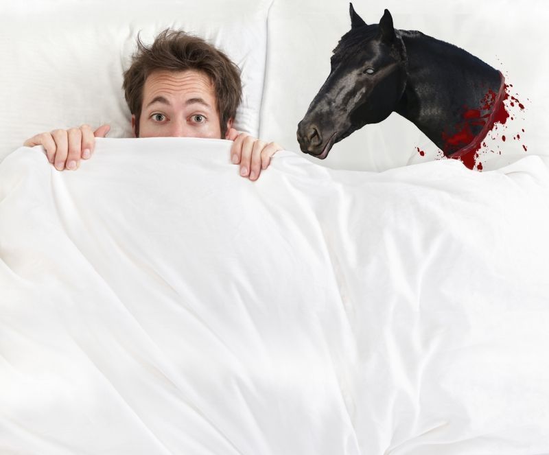 H&auml;sthuvud &Ouml;rngott