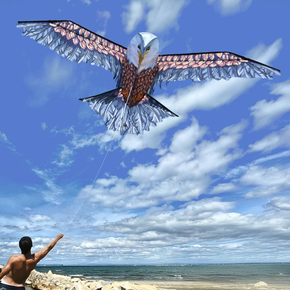 3D Örndrake