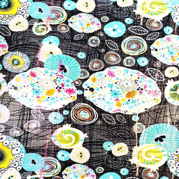 Fantastic Forest black fly