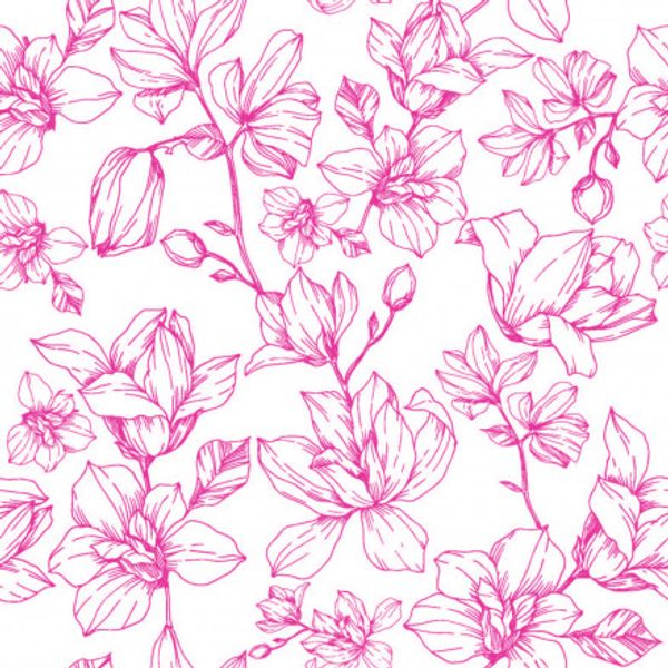 Fleur Magnolia rosa vit