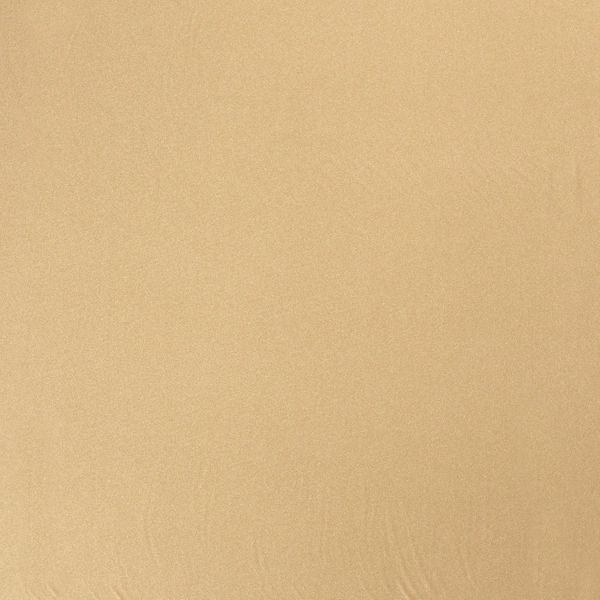 Badlycra/Sportlycra camel