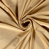Badlycra/Sportlycra camel