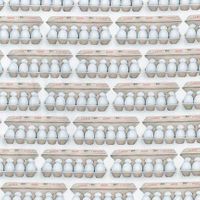 Storlekstag - Olika storlekar - 10-PACK