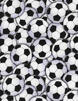 Packed Soccer Balls | Quilt & Lakansväv