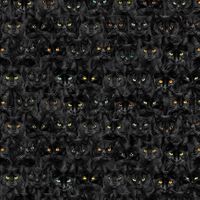 Wicked Black Cats Magic | Quilt & Lakansväv